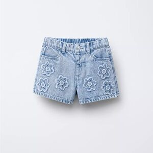 Zara Denim Shorts